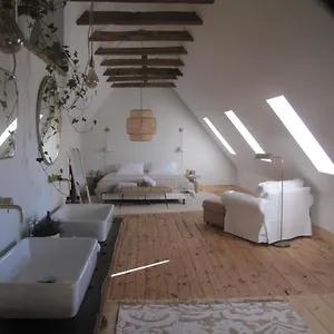 Couette-café Esprit Nature Rêve D'étoiles